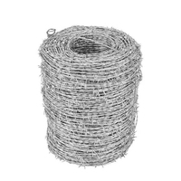 Chain Links And Barbed Wires