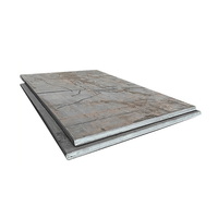 High Quality Carbon Steel Plate Hot Rolled/Cold Rolled for Construction & Machinery