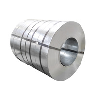 0.5-1.0mm Zinc Coating Steel Hot Rolled Galvanized Steel Coil