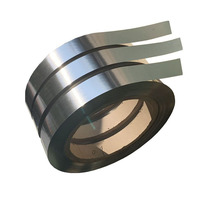 ASTM AISI 301 Grade Stainless Steel Strip Coil